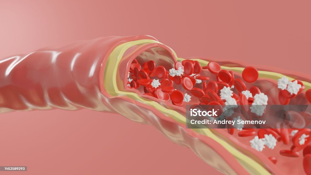 Blood cells in a vein. Blood flow. Medical concept. Artery. Blood cells in a vein. Blood flow. Medical concept. Artery.